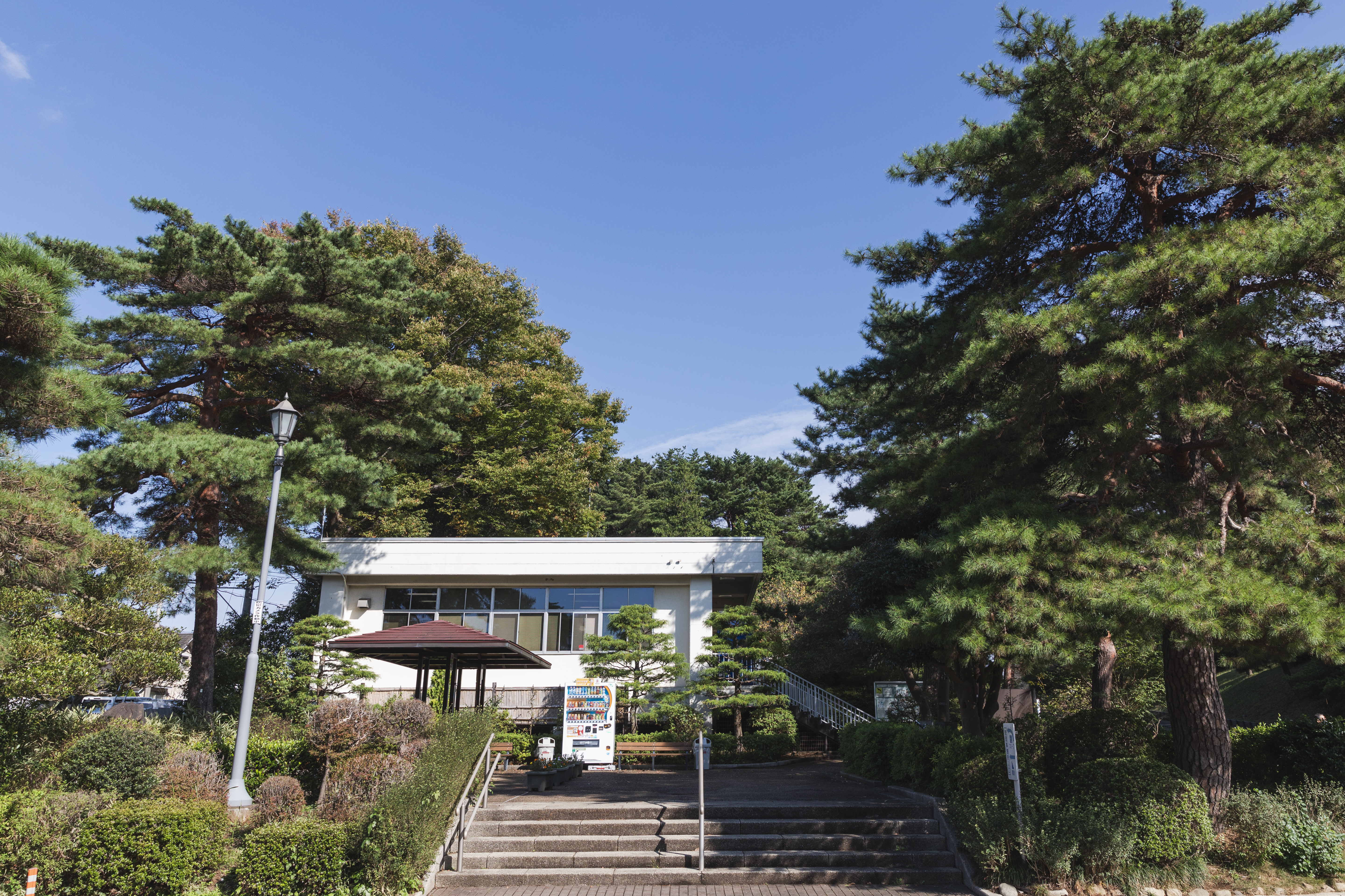 都立八柱霊園